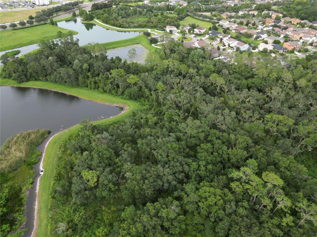 7322 Bridgeview Drive Wesley Chapel, FL 33545 - Photo 72 of 75 an aerial view of a house with a yard and lake view