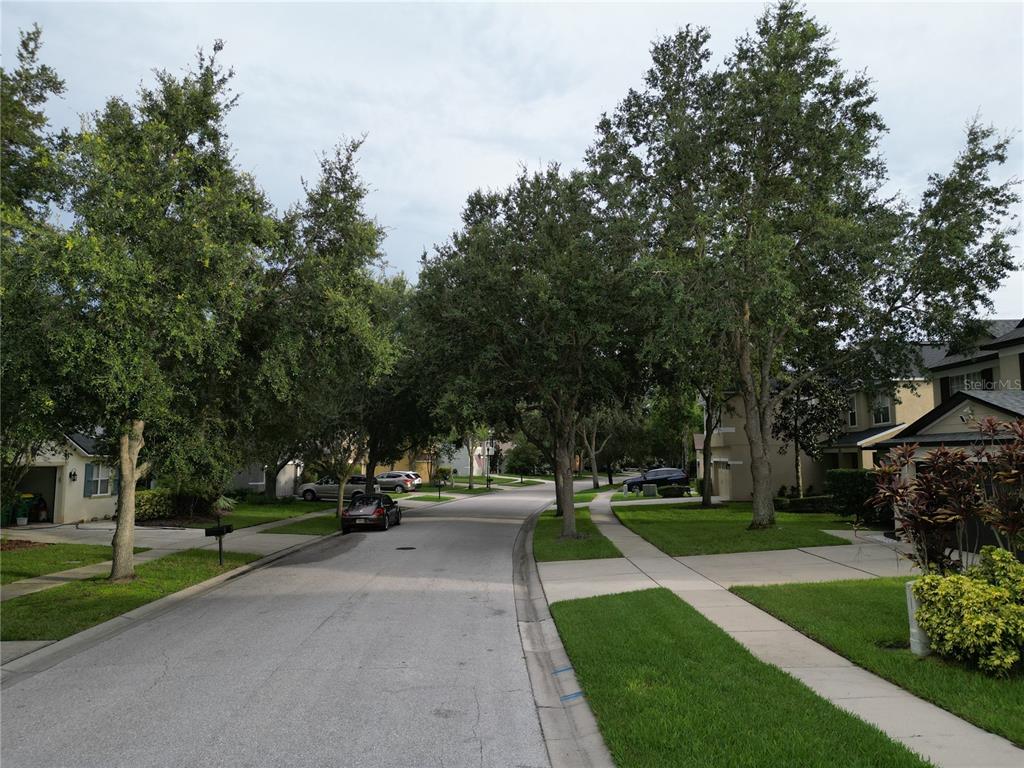 7322 Bridgeview Drive Wesley Chapel, FL 33545 - Photo 73 of 75