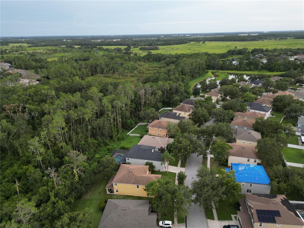 7322 Bridgeview Drive Wesley Chapel, FL 33545 - Photo 74 of 75 an aerial view of multiple house