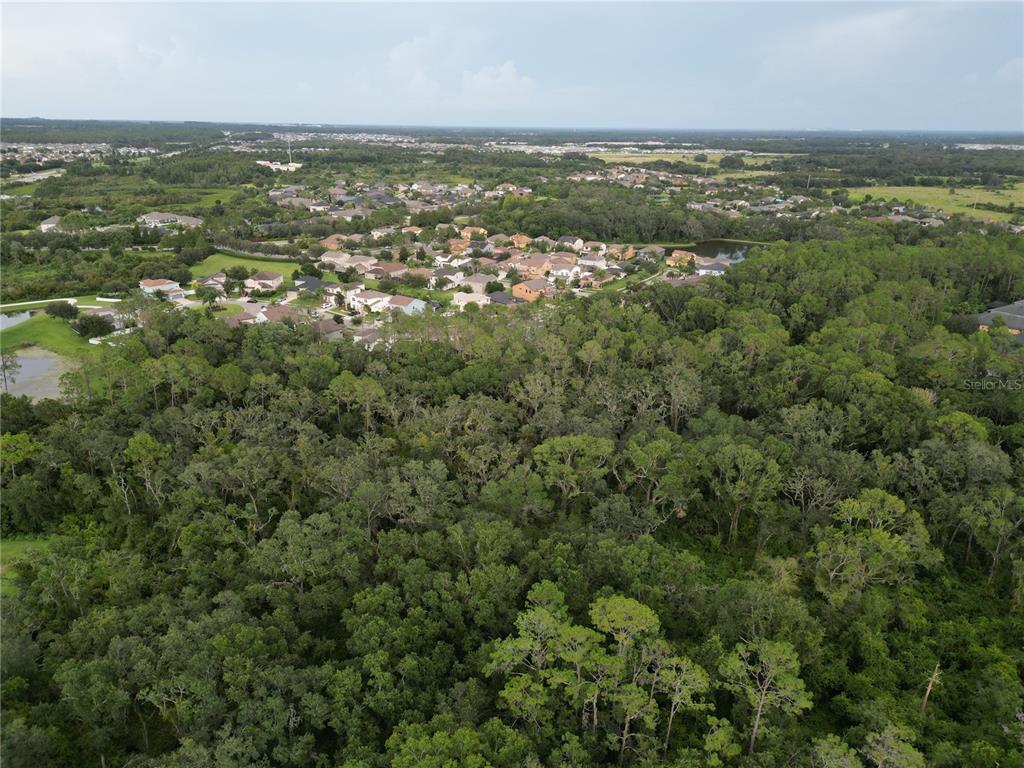 7322 Bridgeview Drive Wesley Chapel, FL 33545 - Photo 75 of 75 an aerial view of residential houses with outdoor space and trees