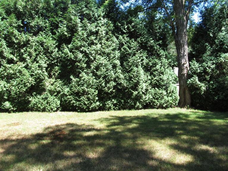 150 Pimlico Pond Road Mashpee, MA 02649 - Photo 22 of 26 a view of yard with green space