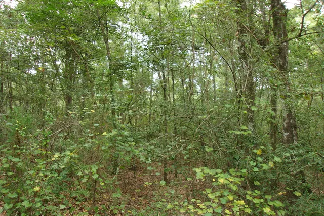 a view of a sign in a yard