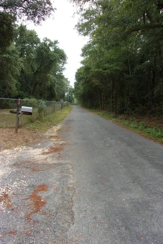 a view of a tree in the middle of a yard