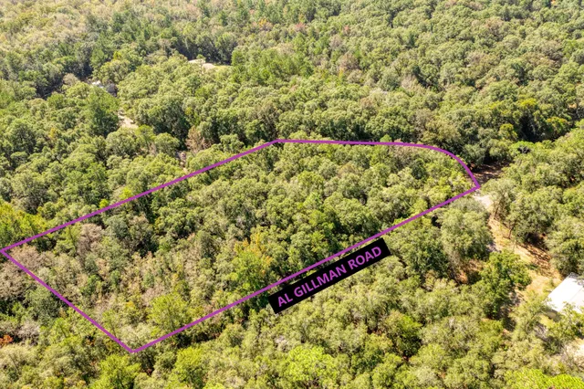 a view of a forest with a small yard