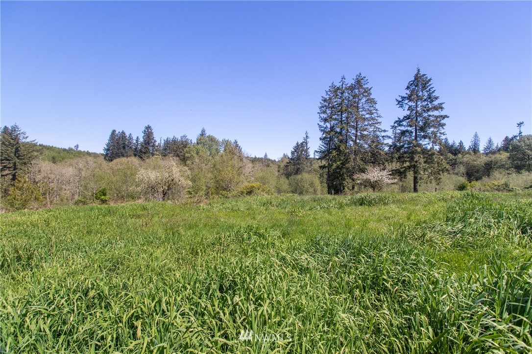913 Coal Creek Road Chehalis, WA 98532 - Photo 5 of 25