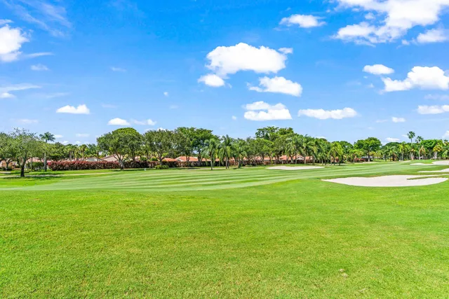 a view of a big yard