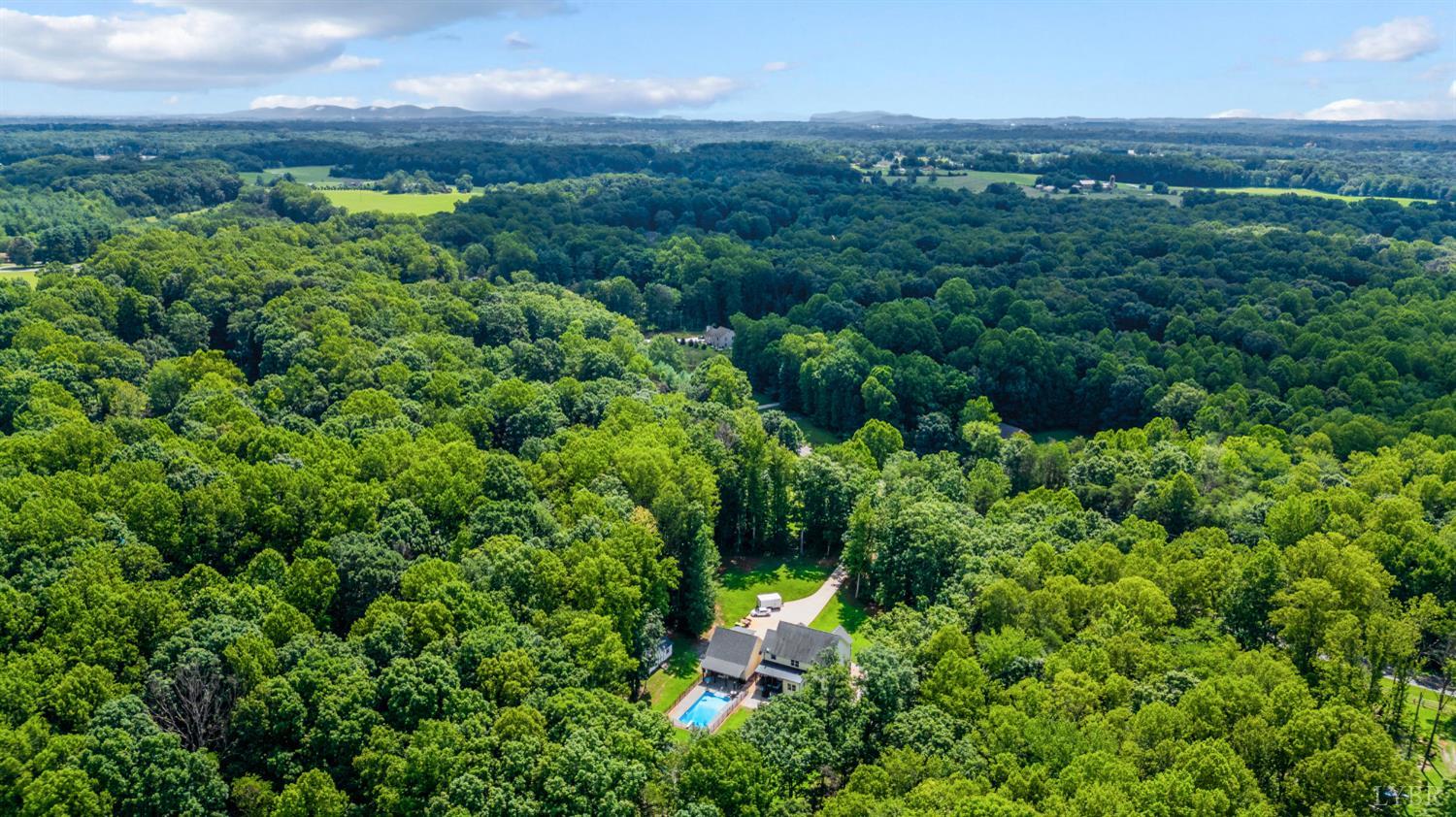 4777 Thomas Jefferson Road Forest, VA 24551 - Photo 91 of 95 Gallery Image 91