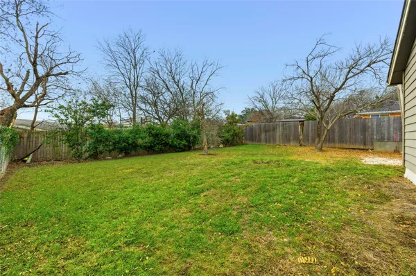 a view of a yard