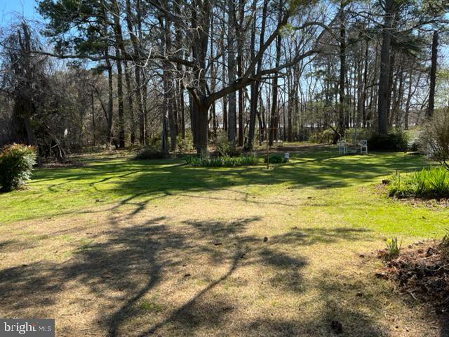12634 Old Bridge Road Ocean City, MD 21842 - Photo 4 of 25 View towards back