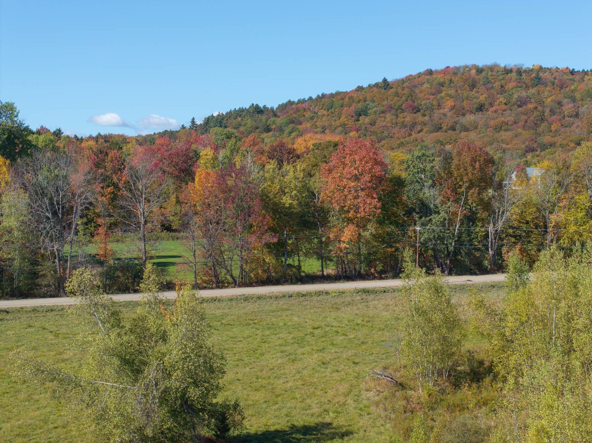 Tbd West Hill Road Stowe, VT 05672 - Photo 17 of 32