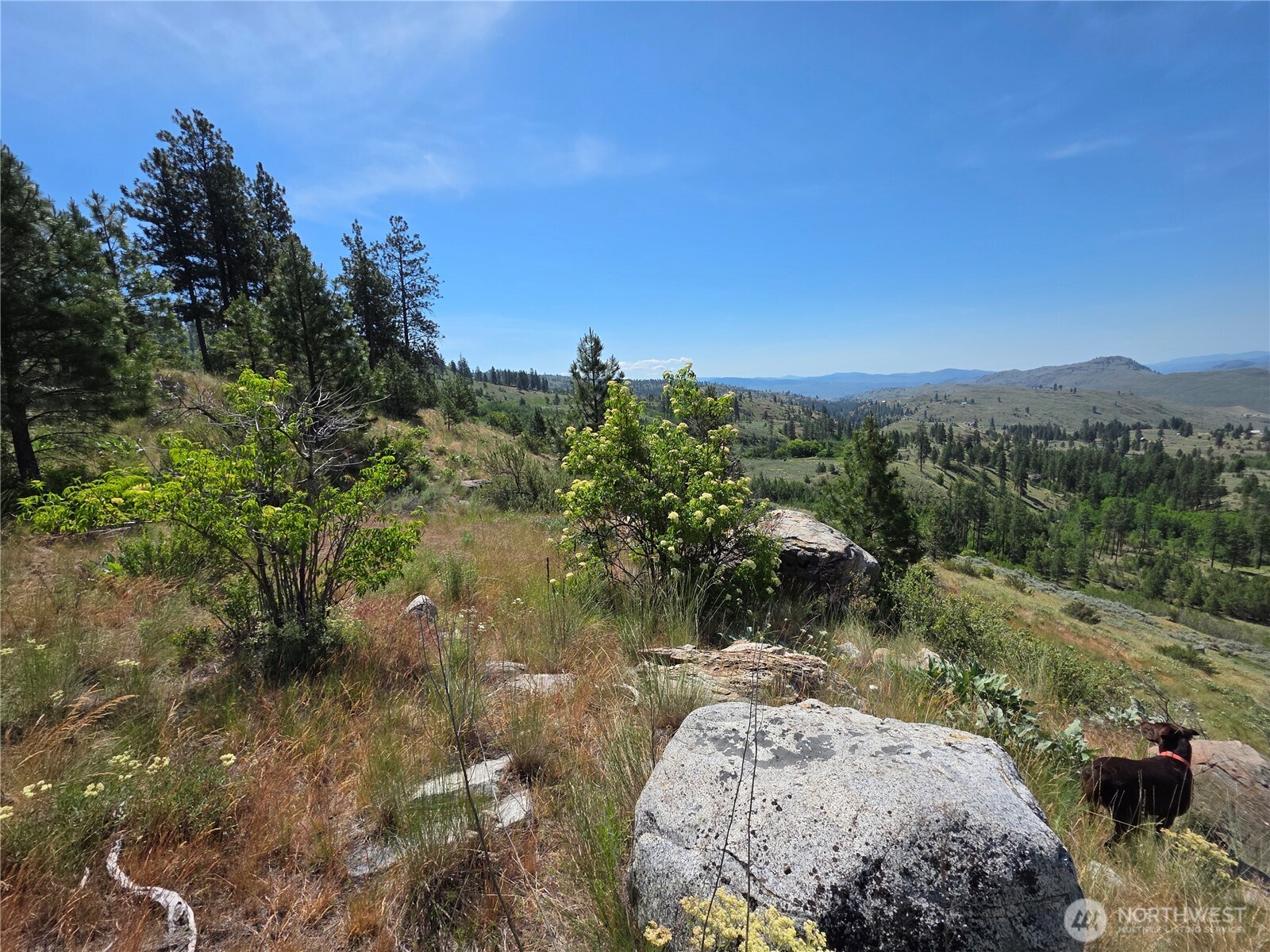 431 J Swanson Mill Road Oroville, WA 98844 - Photo 26 of 36