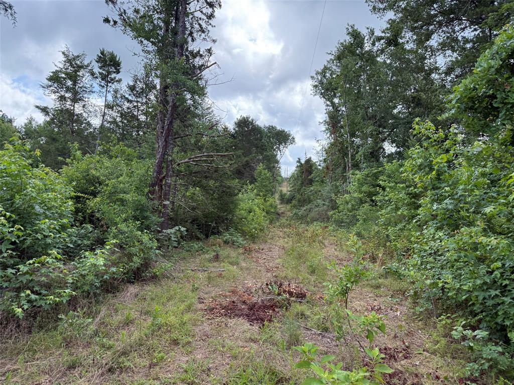 385 County Road 385 Tyler, TX 75708 - Photo 21 of 28