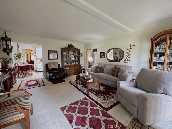 a living room with furniture a rug and a window