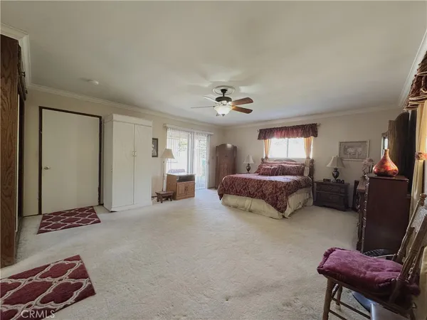 a spacious bedroom with a bed a couch and dresser