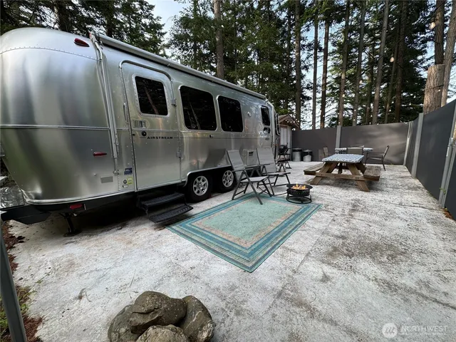 a plant with a plant