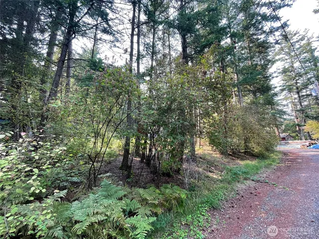 a view of dirt yard with a tree