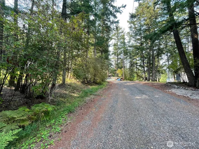 a view of a yard with trees
