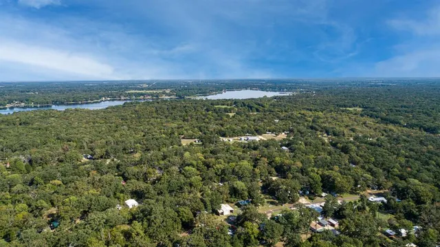 an aerial view of residential houses with outdoor space and trees