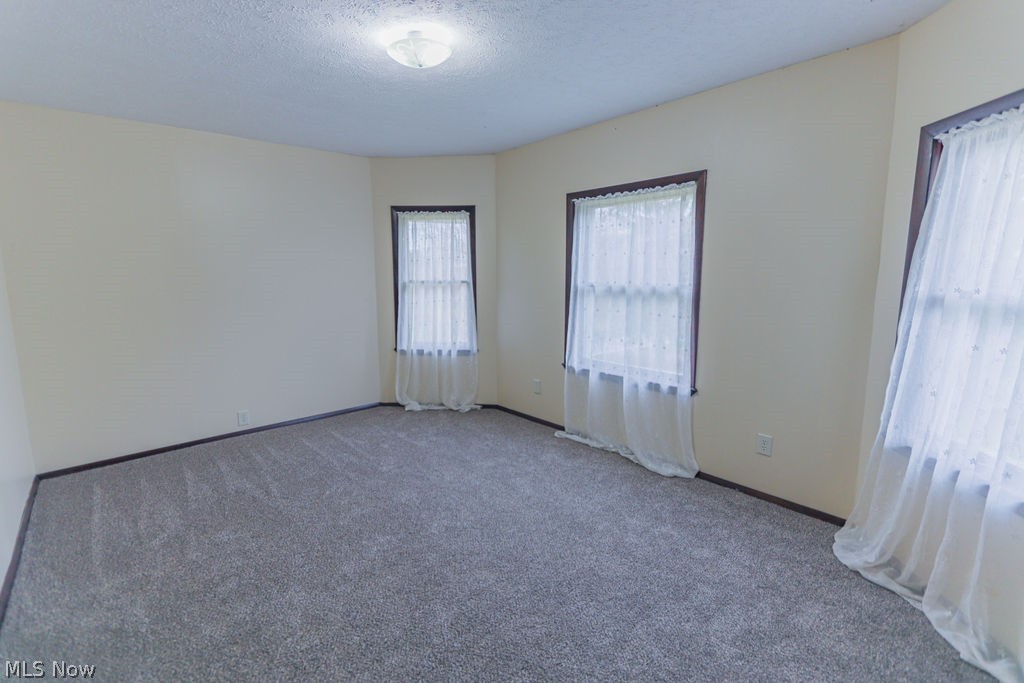 51883 Telegraph Road Amherst, OH 44001 - Photo 8 of 49 Empty room with a textured ceiling and carpet flooring