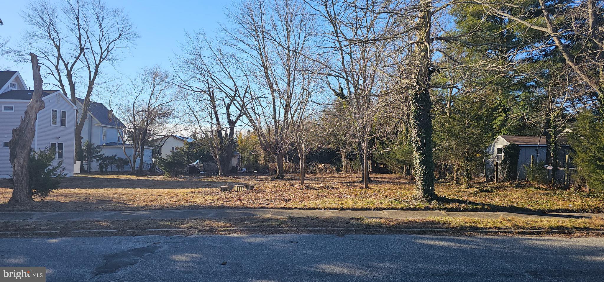 1427 Ocean Pleasantville, NJ 08232 - Photo 3 of 27 a view of a yard with snow on the road