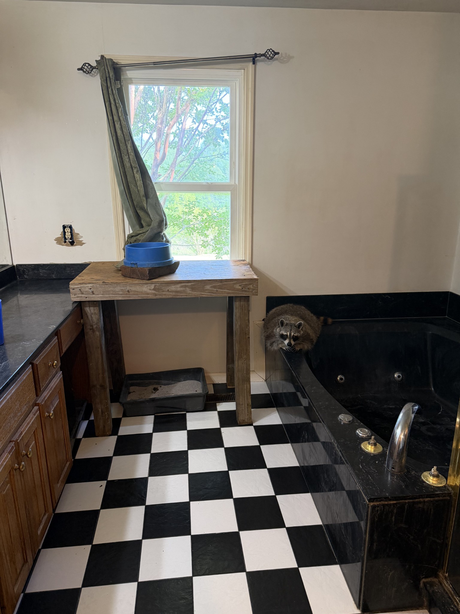 881 Coaling Road Charlotte, TN 37036 - Photo 18 of 29 a black and white checkered floor
