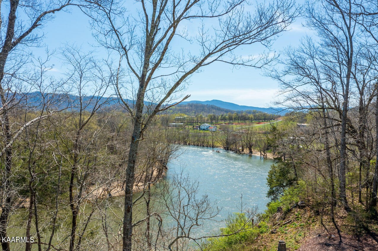 740 Rock Hill Road Newport, TN 37821 - Photo 5 of 31 Gallery Image 5