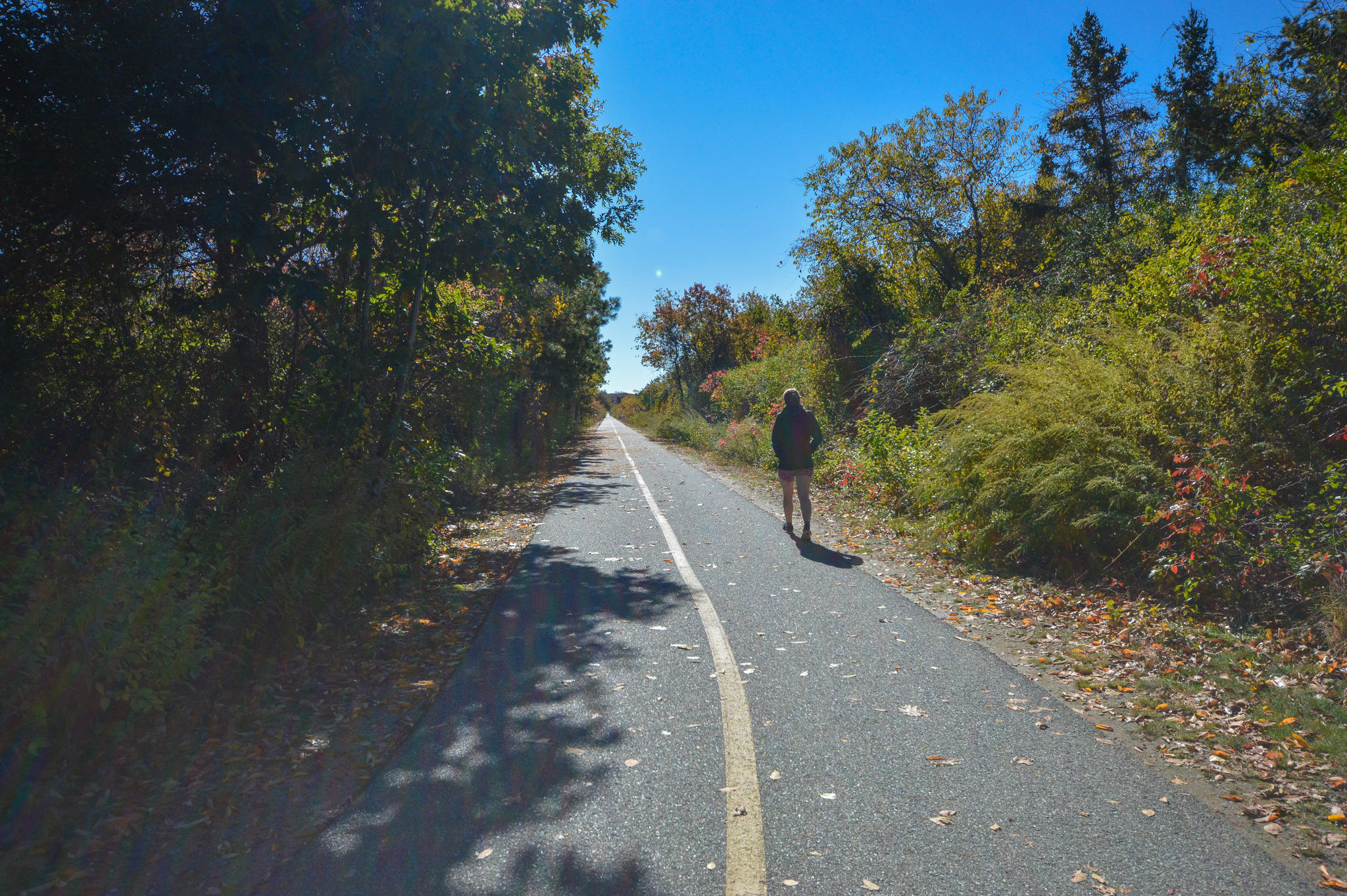 70 Indian Ridge Road Falmouth, MA 02540 - Photo 4 of 38 a view of a street with trees on both side of the road
