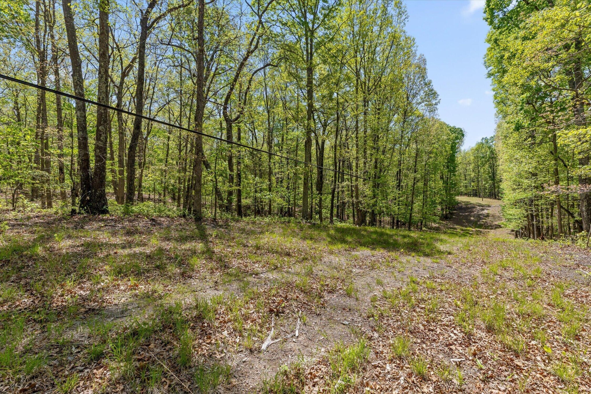 0 Deepwoods Road Sewanee, TN 37375 - Photo 16 of 50 a view of backyard with green space