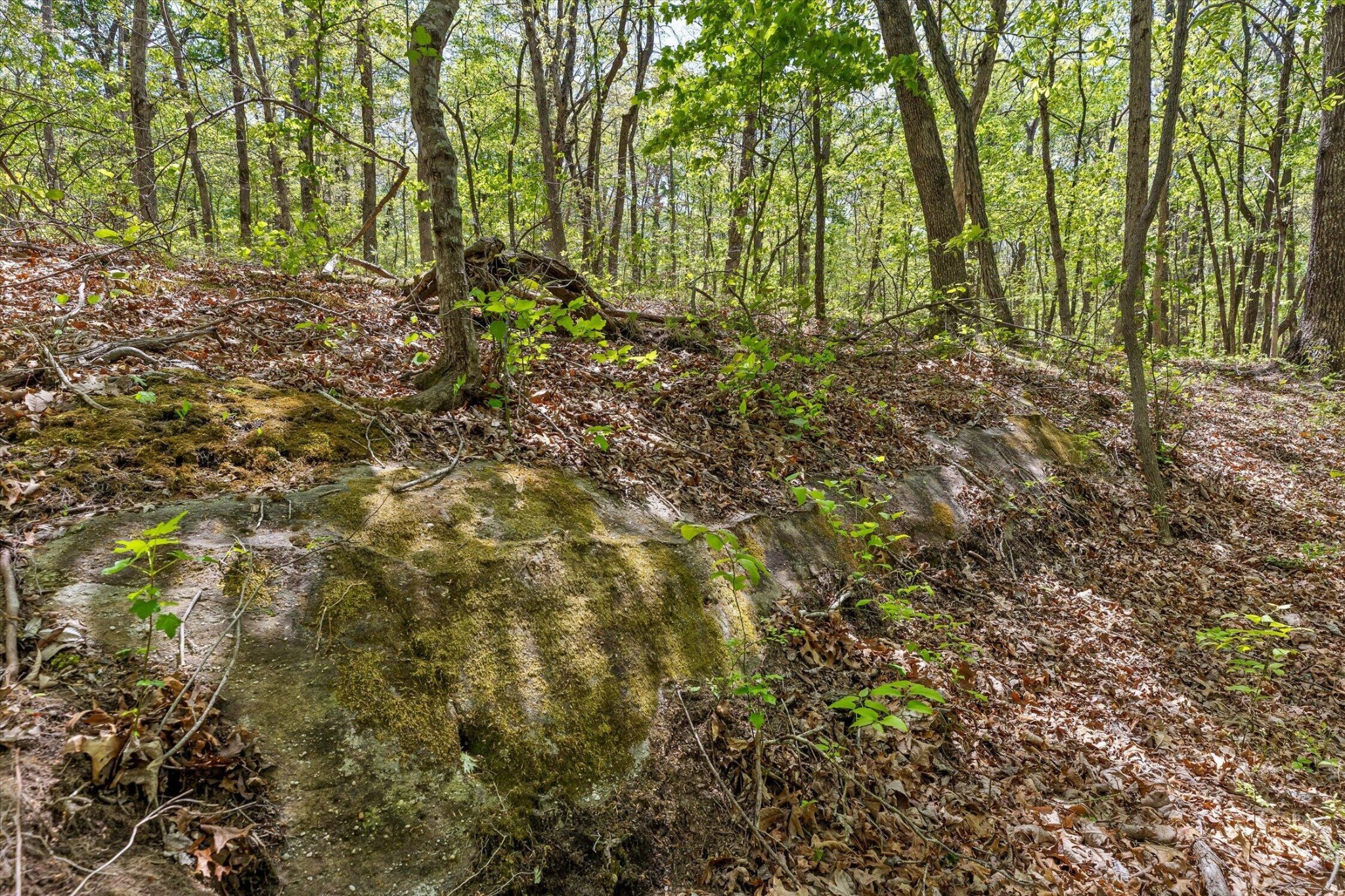 0 Deepwoods Road Sewanee, TN 37375 - Photo 17 of 50