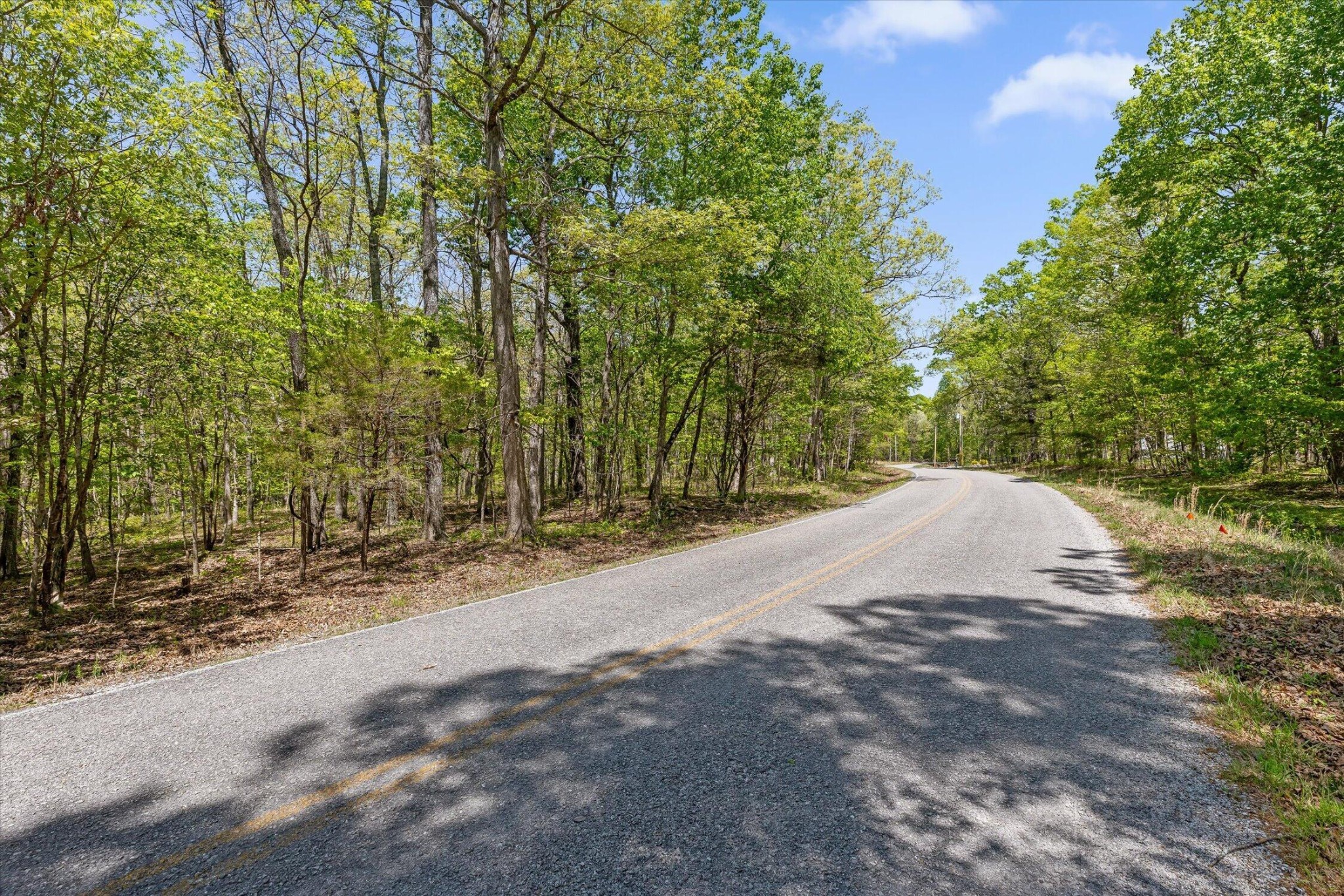 0 Deepwoods Road Sewanee, TN 37375 - Photo 3 of 50 a view of a road with trees in the background