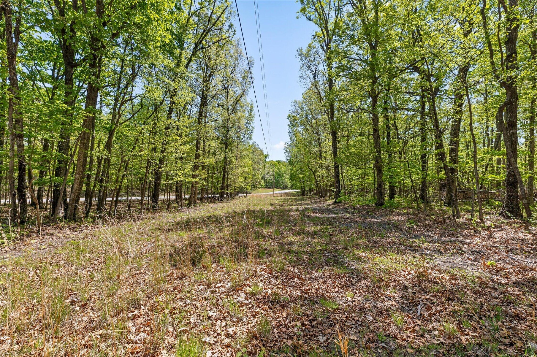 0 Deepwoods Road Sewanee, TN 37375 - Photo 40 of 50 a view of a yard with plants and trees