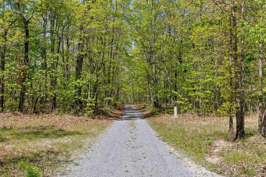 0 Deepwoods Road Sewanee, TN 37375 - Photo 5 of 50 a view of a yard with plants and trees