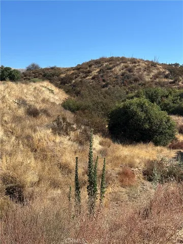 $25,000 | 0 Koontz Road, Agua Dulce, CA 91390