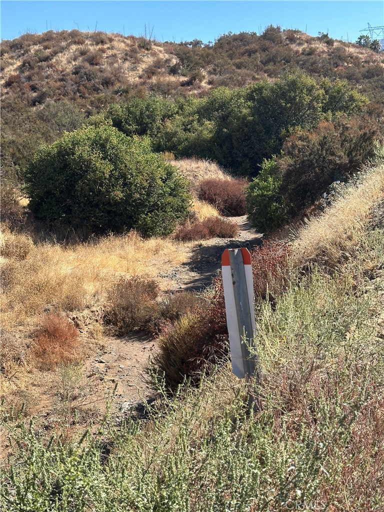 0 Koontz Road Agua Dulce, CA 91390 - Photo 6 of 7