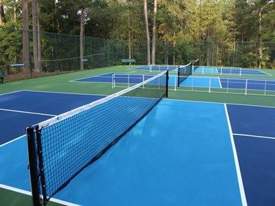 10121 Lakeview Parkway Villa Rica, GA 30180 - Photo 51 of 55 a view of a tennis court