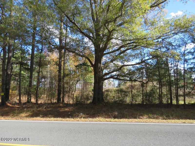 0 Lovette Road Lumberton, NC 28358 - Photo 11 of 39 IMG_6284