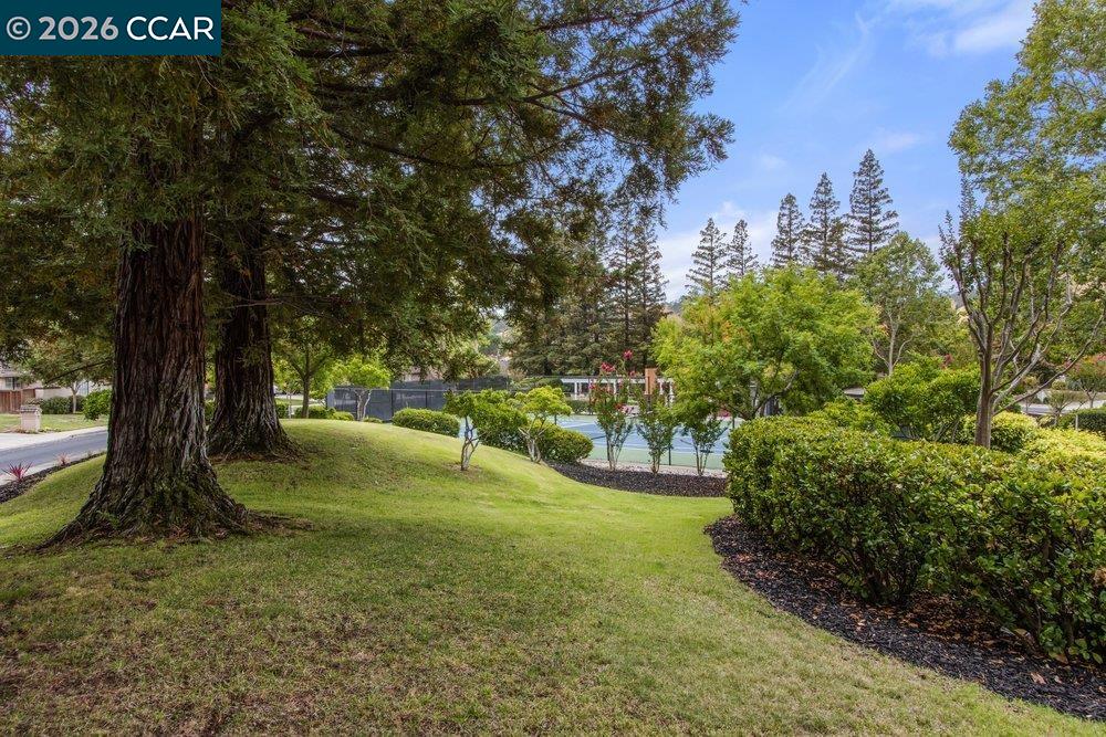 182 Golden Ridge Road Alamo, CA 94507 - Photo 57 of 57