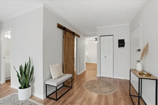 a living room with furniture and a potted plant