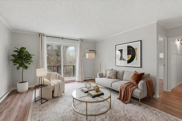 a living room with furniture and a potted plant