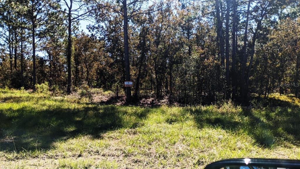 7781 Southwest 121st Terrace Road Dunnellon, FL 34432 - Photo 1 of 1 Gallery Image 1