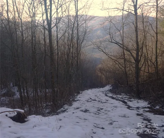 a backyard of a house with lots of trees