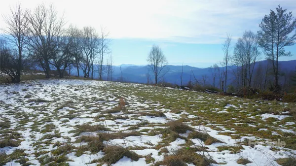 a view of a backyard of the house