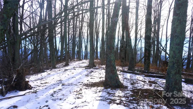 a view of a backyard of the house
