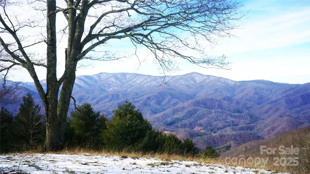 a view of a yard with trees