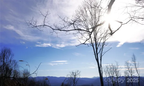 a backyard of a house with large trees