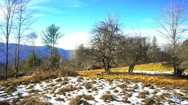 a view of swimming pool in a backyard