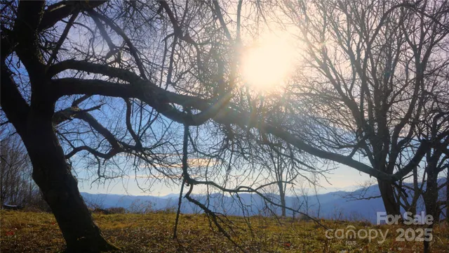 a view of a backyard of a house