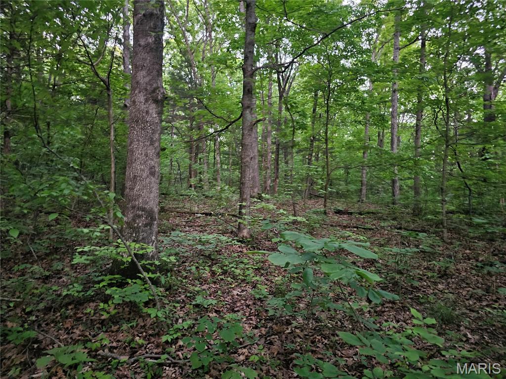 2 Rita Road Cadet, MO 63630 - Photo 3 of 7