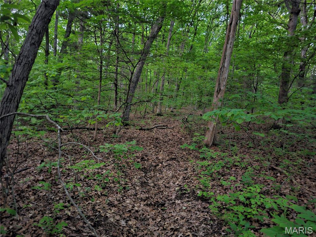 2 Rita Road Cadet, MO 63630 - Photo 4 of 7