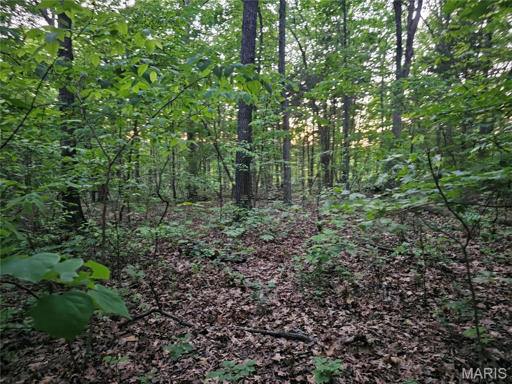 2 Rita Road Cadet, MO 63630 - Photo 5 of 7